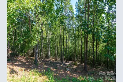 2026 Deep Gap Farm Road E, Mill Spring, NC 28756 - Photo 24