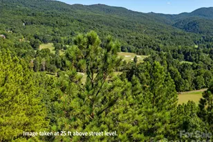 2026 Deep Gap Farm Rd E, Mill Spring, NC 28756 - Photo 2