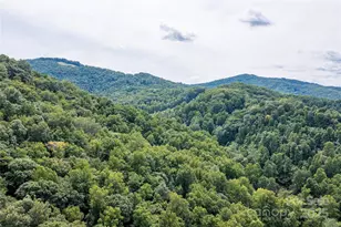 226 Wildcat Mountain Trl, Sylva, NC 28779 - Photo 38