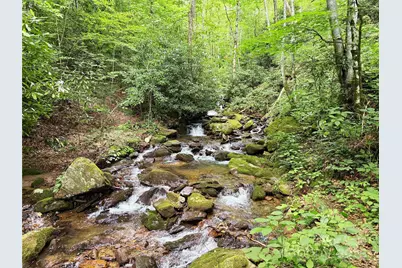 226 Wildcat Mountain Trail, Sylva, NC 28779 - Photo 6