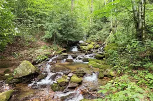 226 Wildcat Mountain Trl, Sylva, NC 28779 - Photo 6