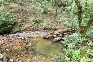 226 Wildcat Mountain Trl, Sylva, NC 28779 - Photo 44