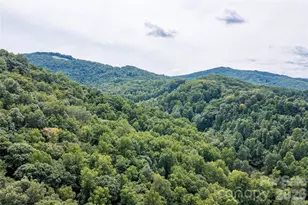 226 Wildcat Mountain Trl, Sylva, NC 28779 - Photo 38