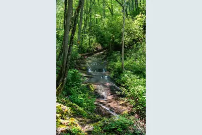 238 Falling Water Drive, Burnsville, NC 28714 - Photo 6