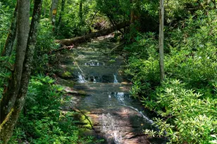 238 Falling Water Dr, Burnsville, NC 28714 - Photo 6