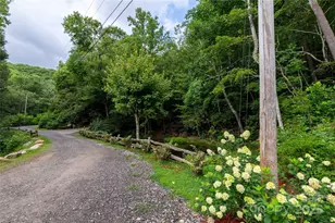 238 Falling Water Dr, Burnsville, NC 28714 - Photo 48