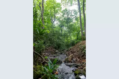 238 Falling Water Drive, Burnsville, NC 28714 - Photo 8