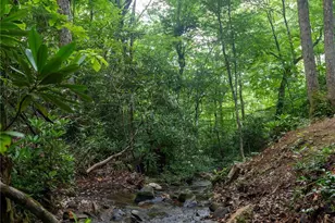 238 Falling Water Dr, Burnsville, NC 28714 - Photo 8