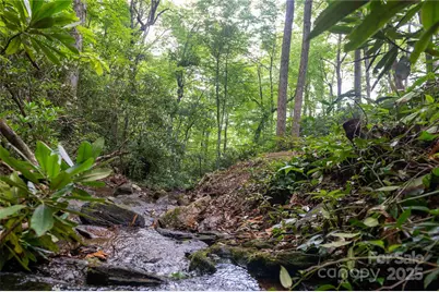 238 Falling Water Drive, Burnsville, NC 28714 - Photo 46