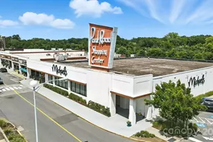 1029 Sewickley Dr, Charlotte, NC 28209 - Photo 46