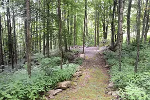 120 Spotted Fawn Ln, Waynesville, NC 28785 - Photo 40