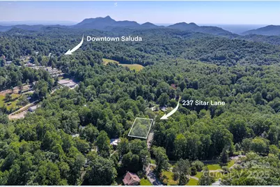 17 Sitar Lane, Saluda, NC 28773 - Photo 22