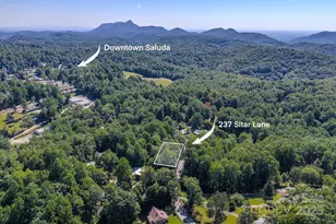 17 Sitar Ln, Saluda, NC 28773 - Photo 22