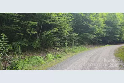 Lot 501 Spellbound Road, Waynesville, NC 28785 - Photo 10