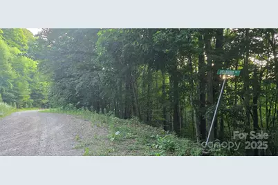 Lot 501 Spellbound Road, Waynesville, NC 28785 - Photo 14