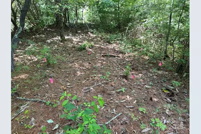 Tbd Emma Bri Lane #10, Hendersonville, NC 28739 - Photo 4