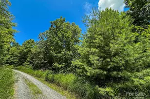 Tbd Emma Bri Ln, Hendersonville, NC 28739 - Photo 1