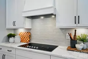 12065 Lavinia Ln, Charlotte, NC 28277 - Photo 6