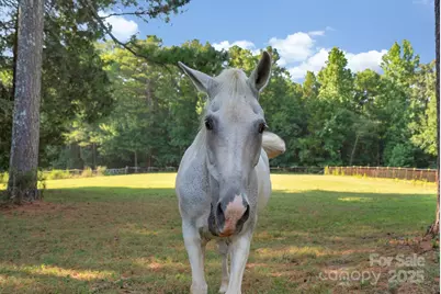 4107 Cahnnas Way, Waxhaw, NC 28173 - Photo 6