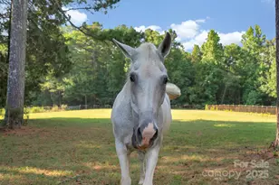 4107 Cahnnas Way, Waxhaw, NC 28173 - Photo 6