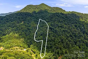 28 Back Stage Pass, Canton, NC 28716 - Photo 44