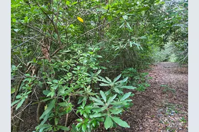 Lot 2 Pine Ridge Road, Burnsville, NC 28714 - Photo 2