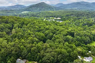 18 Wild Violet Ln, Arden, NC 28704 - Photo 26