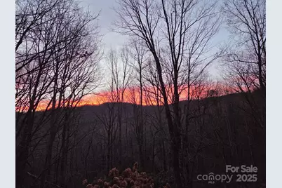 50 Firefly Springs Lane, Candler, NC 28715 - Photo 2