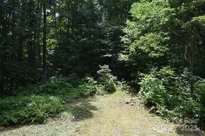 50 Firefly Springs Lane, Candler, NC 28715 - Photo 30