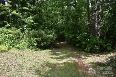 50 Firefly Springs Lane, Candler, NC 28715 - Photo 18