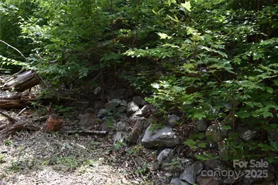 50 Firefly Springs Lane, Candler, NC 28715 - Photo 28