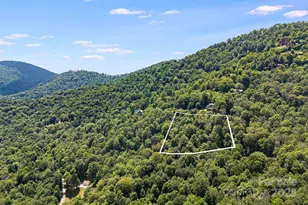 16 Mountain Gait Dr, Mars Hill, NC 28754 - Photo 4