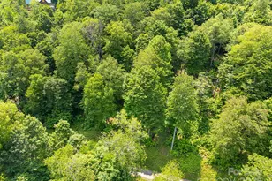 16 Mountain Gait Dr, Mars Hill, NC 28754 - Photo 16