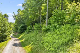 16 Mountain Gait Dr, Mars Hill, NC 28754 - Photo 14