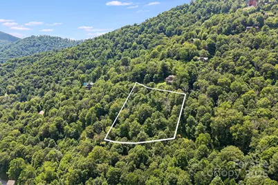 16 Mountain Gait Drive #16, Mars Hill, NC 28754 - Photo 6