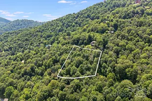 16 Mountain Gait Dr, Mars Hill, NC 28754 - Photo 6