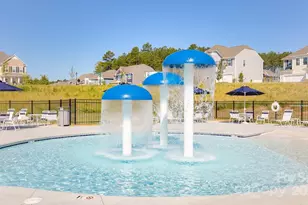 145 Asmodean Ln, Troutman, NC 28166 - Photo 32