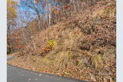 Lot 44 Weatherwatch Drive #44, Waynesville, NC 28786 - Photo 8