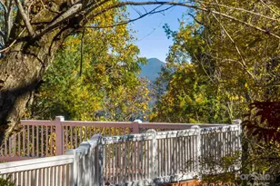 20 Fairview Heights Dr, Hendersonville, NC 28739 - Photo 26