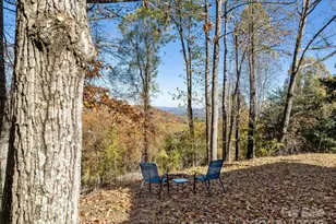 20 Fairview Heights Dr, Hendersonville, NC 28739 - Photo 34