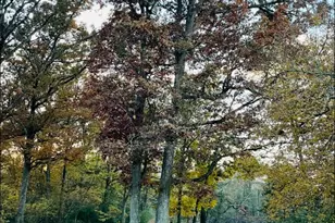 209 Edgewood Dr, Wingate, NC 28174 - Photo 8