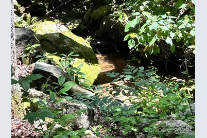 184 N Poplar Drive, Lake Lure, NC 28746 - Photo 46