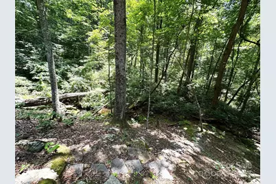 184 N Poplar Drive, Lake Lure, NC 28746 - Photo 48