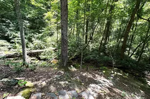 184 N Poplar Dr, Lake Lure, NC 28746 - Photo 48