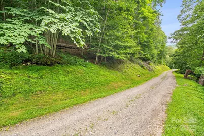 17 Mountain Gait Drive #17, Mars Hill, NC 28754 - Photo 18
