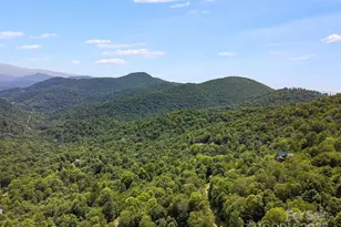 17 Mountain Gait Dr, Mars Hill, NC 28754 - Photo 8