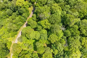 17 Mountain Gait Dr, Mars Hill, NC 28754 - Photo 28