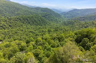 17 Mountain Gait Dr, Mars Hill, NC 28754 - Photo 30