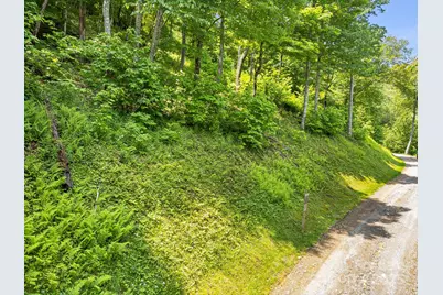 17 Mountain Gait Drive #17, Mars Hill, NC 28754 - Photo 22