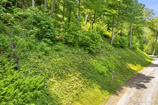 17 Mountain Gait Dr, Mars Hill, NC 28754 - Photo 22